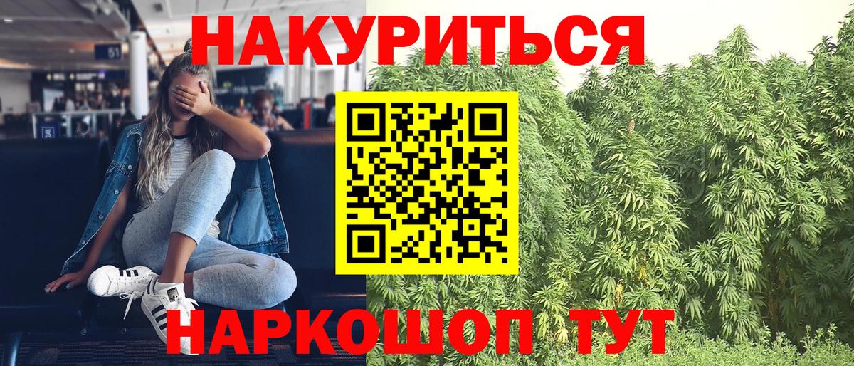 Канабис SATIVA & INDICA  МАРИХУАНА тримм  Вход с VPN  МАРИХУАНА AK-47  Ессентуки  Бошки марихуана план 